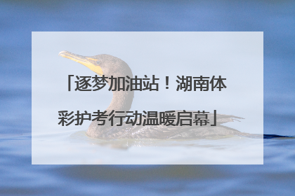 逐梦加油站！湖南体彩护考行动温暖启幕