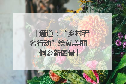 通道：“乡村著名行动”绘就美丽侗乡新图景