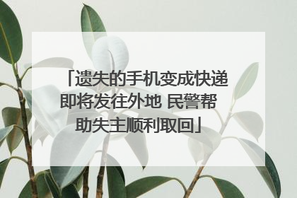 遗失的手机变成快递即将发往外地 民警帮助失主顺利取回
