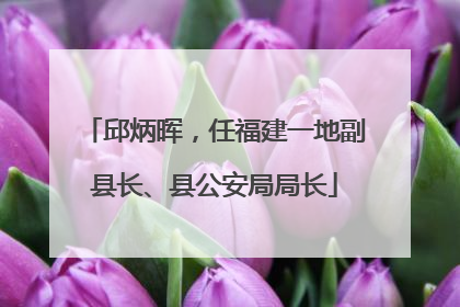 邱炳晖，任福建一地副县长、县公安局局长
