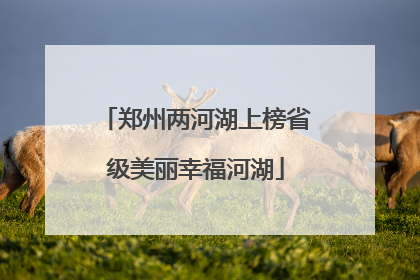 郑州两河湖上榜省级美丽幸福河湖