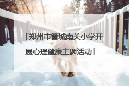 郑州市管城南关小学开展心理健康主题活动