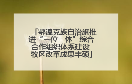 鄂温克族自治旗推进“三位一体”综合合作组织体系建设 牧区改革成果丰硕