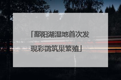 鄱阳湖湿地首次发现彩鹮筑巢繁殖