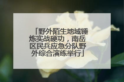野外陌生地域锤炼实战硬功，南岳区民兵应急分队野外综合演练举行