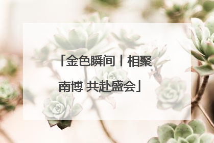 金色瞬间丨相聚南博 共赴盛会