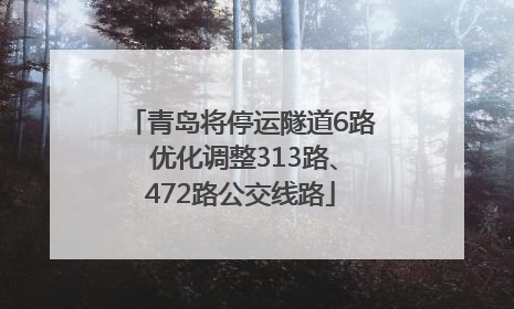 青岛将停运隧道6路 优化调整313路、472路公交线路