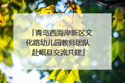 青岛西海岸新区文化路幼儿园教师团队赴岷县交流共建