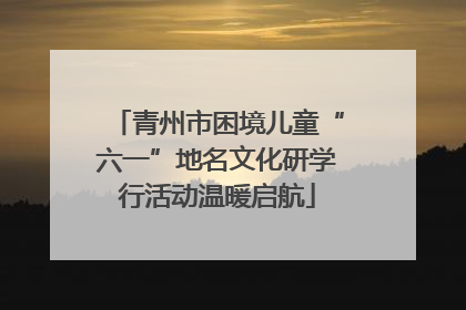 青州市困境儿童“六一”地名文化研学行活动温暖启航