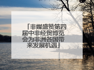 非媒盛赞第四届中非经贸博览会为非洲各国带来发展机遇