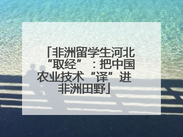 非洲留学生河北“取经”：把中国农业技术“译”进非洲田野