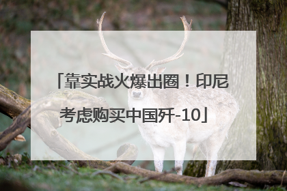 靠实战火爆出圈！印尼考虑购买中国歼-10