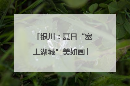 银川：夏日“塞上湖城”美如画