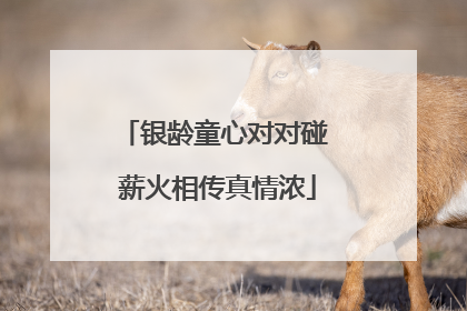银龄童心对对碰 薪火相传真情浓