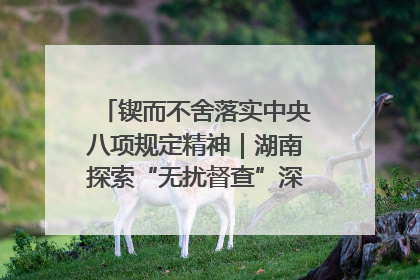 锲而不舍落实中央八项规定精神｜湖南探索“无扰督查”深化基层减负