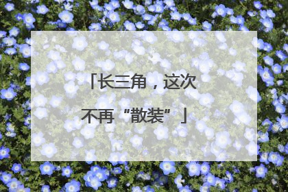 长三角，这次不再“散装”