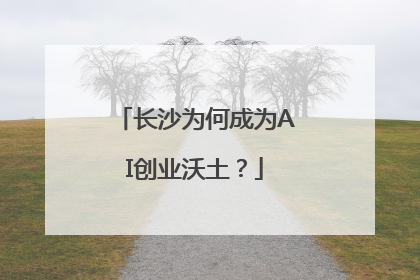 长沙为何成为AI创业沃土？