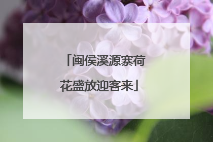 闽侯溪源寨荷花盛放迎客来