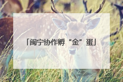 闽宁协作孵“金”蛋