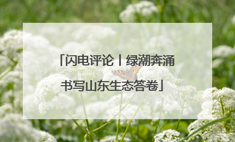 闪电评论丨绿潮奔涌 书写山东生态答卷