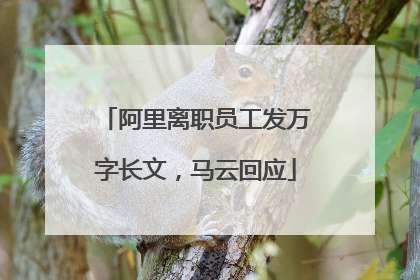 阿里离职员工发万字长文，马云回应