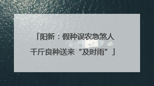 阳新：假种误农急煞人 千斤良种送来“及时雨”