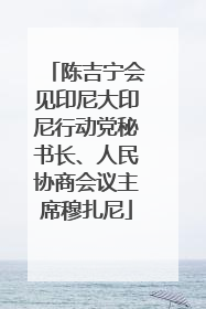 陈吉宁会见印尼大印尼行动党秘书长、人民协商会议主席穆扎尼