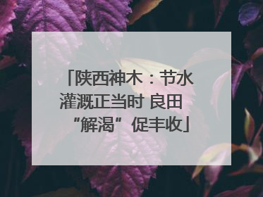 陕西神木：节水灌溉正当时 良田“解渴”促丰收