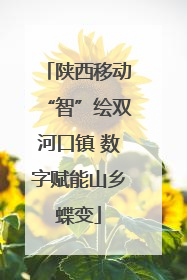 陕西移动“智”绘双河口镇 数字赋能山乡蝶变