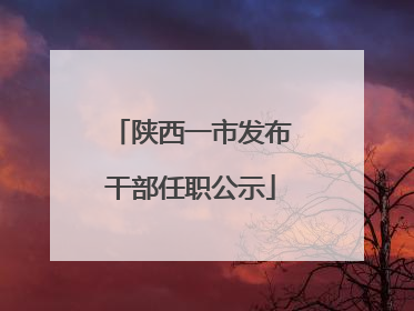 陕西一市发布干部任职公示