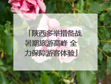 陕西多举措备战暑期旅游高峰 全力保障游客体验