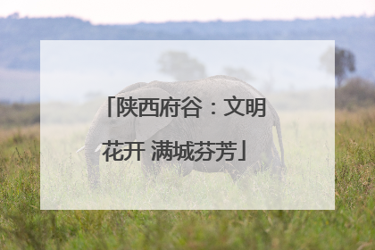 陕西府谷：文明花开 满城芬芳