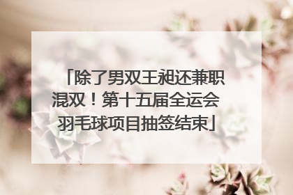 除了男双王昶还兼职混双！第十五届全运会羽毛球项目抽签结束