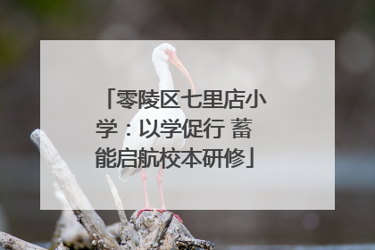 零陵区七里店小学：以学促行 蓄能启航校本研修