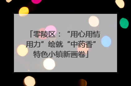 零陵区：“用心用情用力”绘就“中药香”特色小镇新画卷