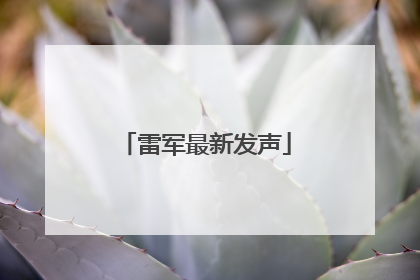 雷军最新发声