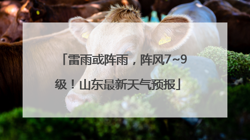 雷雨或阵雨，阵风7~9级！山东最新天气预报