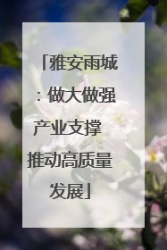 雅安雨城：做大做强产业支撑 推动高质量发展