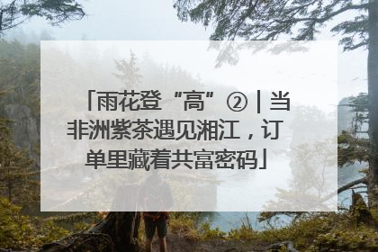 雨花登“高”②｜当非洲紫茶遇见湘江，订单里藏着共富密码