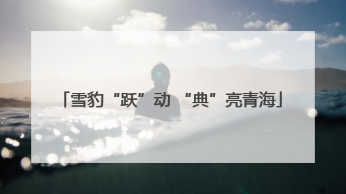 雪豹“跃”动 “典”亮青海