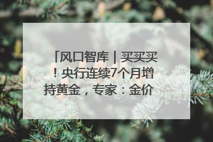 风口智库｜买买买！央行连续7个月增持黄金，专家：金价或仍易涨难跌