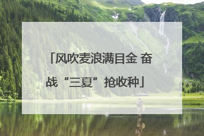 风吹麦浪满目金 奋战“三夏”抢收种