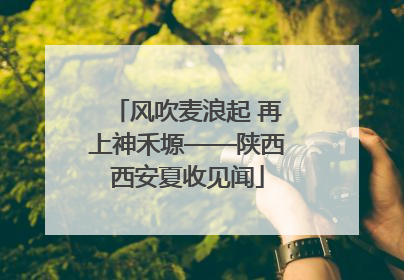风吹麦浪起 再上神禾塬——陕西西安夏收见闻