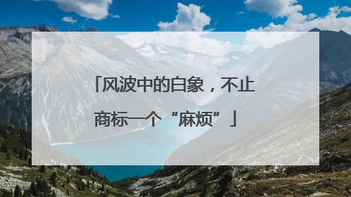 风波中的白象，不止商标一个“麻烦”