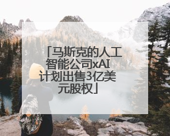 马斯克的人工智能公司xAI计划出售3亿美元股权