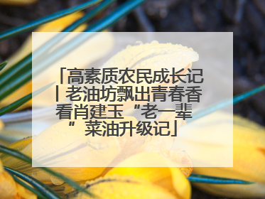 高素质农民成长记丨老油坊飘出青春香 看肖建玉“老一辈”菜油升级记