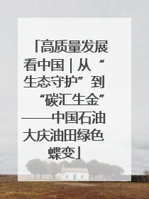 高质量发展看中国｜从“生态守护”到“碳汇生金”——中国石油大庆油田绿色蝶变