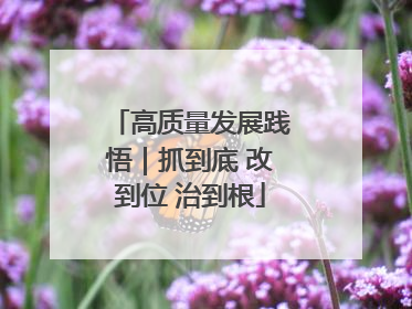 高质量发展践悟｜抓到底 改到位 治到根