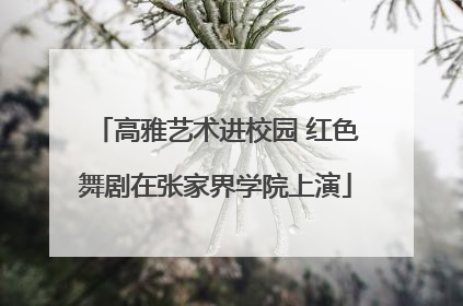 高雅艺术进校园 红色舞剧在张家界学院上演