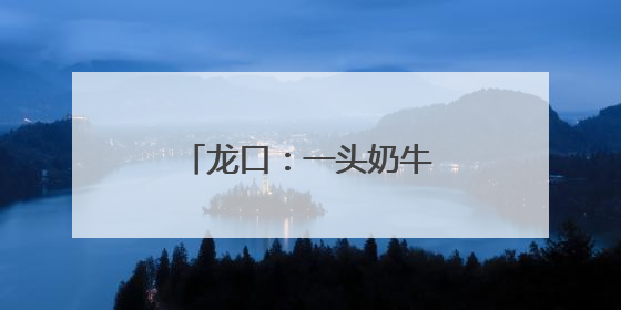 龙口：一头奶牛的“智慧生活”